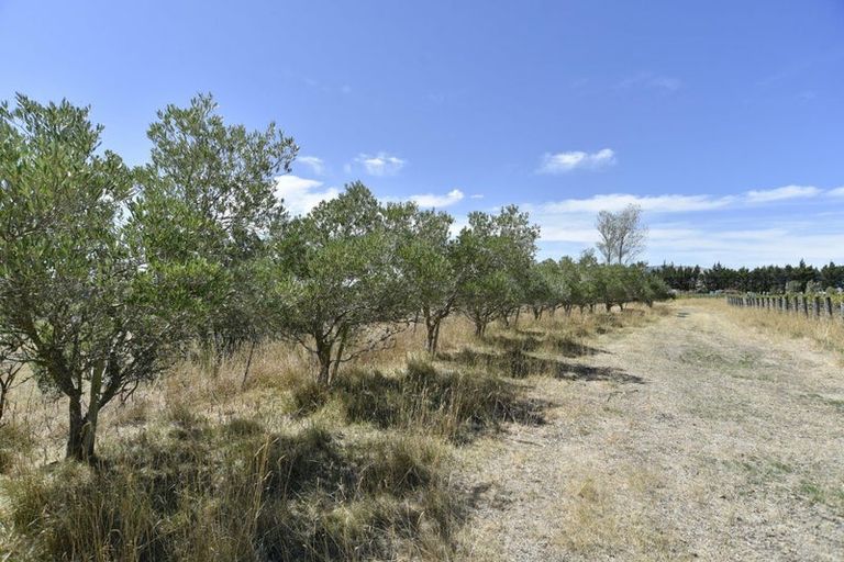 Photo of property in 53 Te Taniwha Road, One Tree Point, 0118