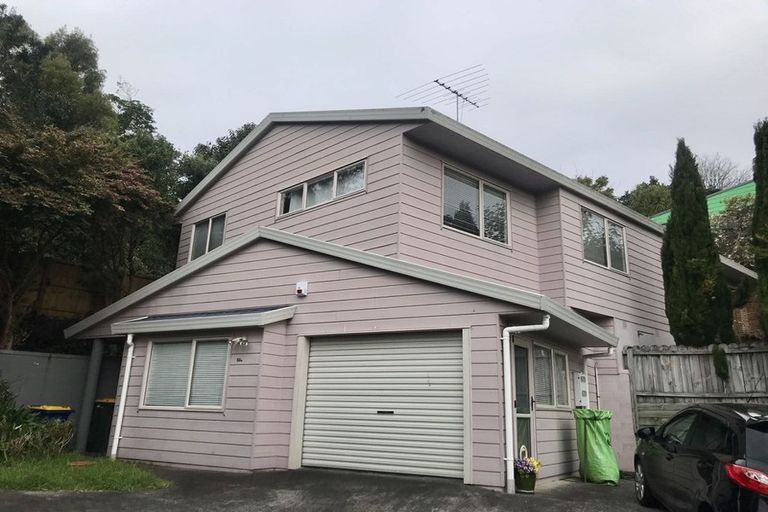 Photo of property in 59b Mountbatten Avenue, Hillcrest, Auckland, 0627