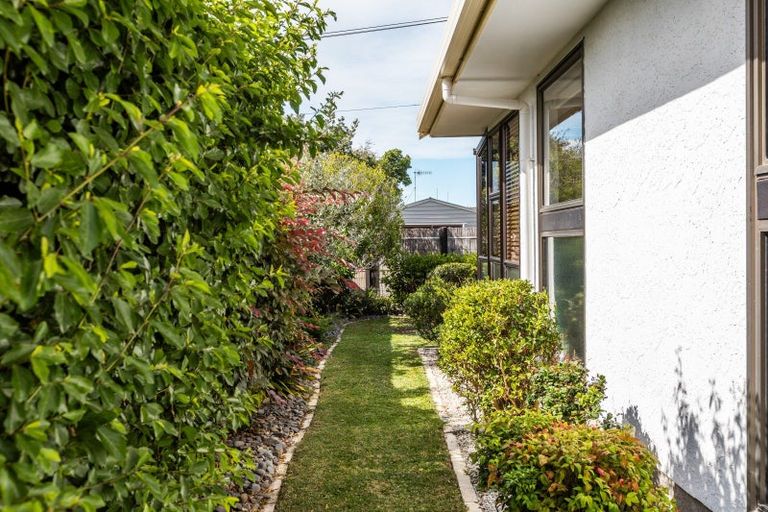 Photo of property in 50a Avenue Road, Greenmeadows, Napier, 4112