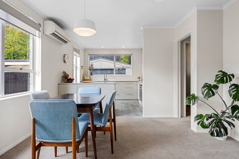 Photo of property in 42 Palatine Terrace, Saint Martins, Christchurch, 8022