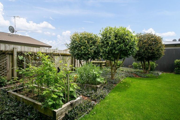 Photo of property in 77c Grey Street, Cambridge, 3434