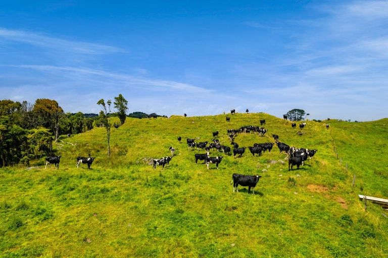 Photo of property in 955 Opua Road, Opunake, 4681