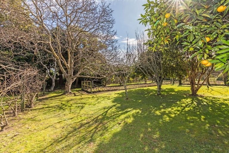 Photo of property in 14 Ngarara Road, Waikanae, 5036