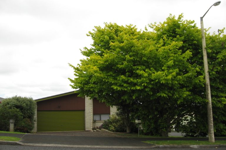 Photo of property in 53 Green Lane, Pukekohe, 2120