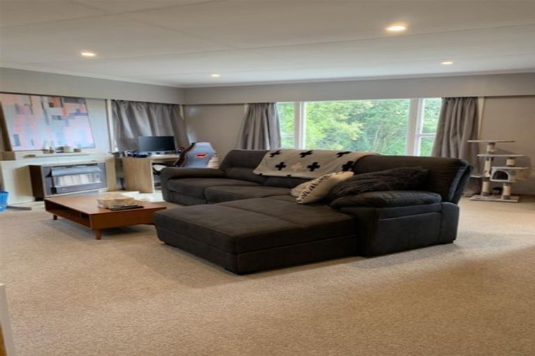 Photo of property in 18 Antonio Street, Stratford, 4332