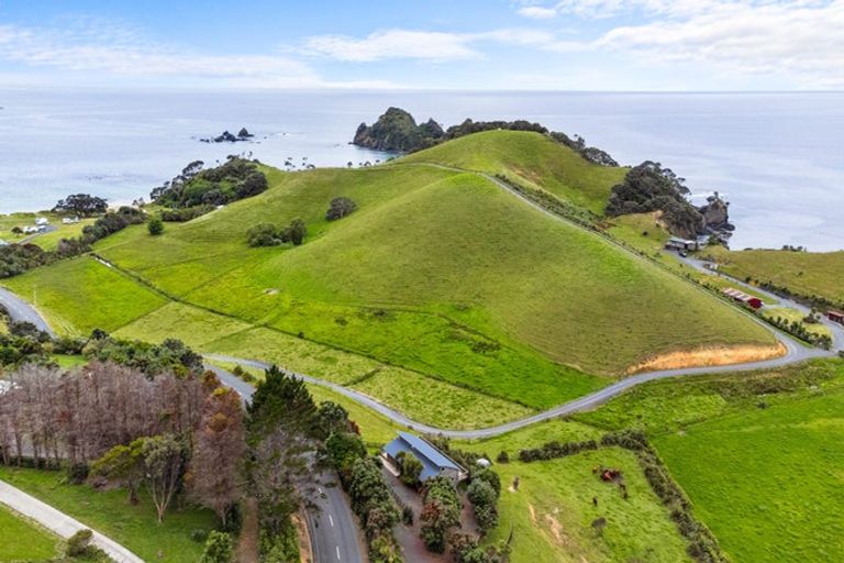 Photo of property in 168 Rockell Road, Whananaki, Hikurangi, 0181