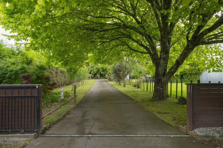 Photo of property in 86 Castles Road, Oropi, Tauranga, 3173