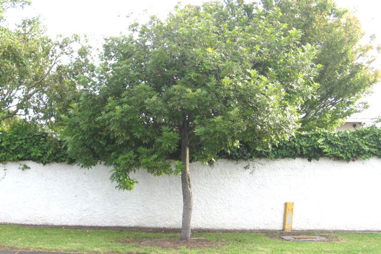 Photo of property in 4 Sheehan Road, Te Atatu South, Auckland, 0610