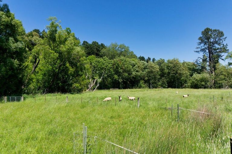 Photo of property in 56 Caverhill Road, Cheviot, 7381