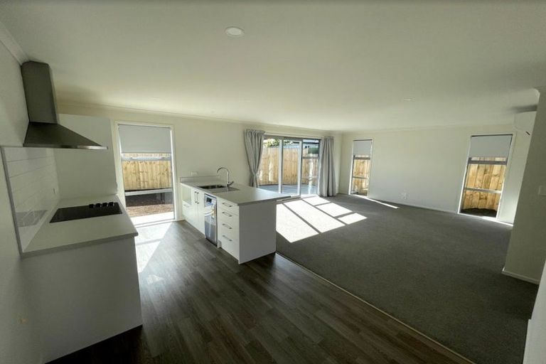 Photo of property in 11u4 Miro Street, Maeroa, Hamilton, 3200
