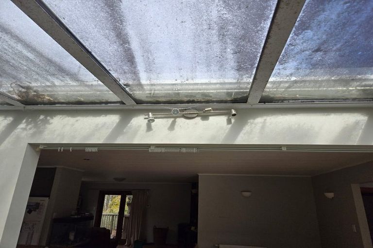 Photo of property in 172 Graham Vly Road, Motueka Valley, Motueka, 7196