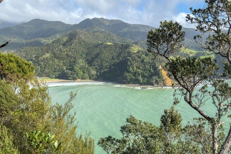 Photo of property in 1586 Port Charles Road, Port Charles, Coromandel, 3584