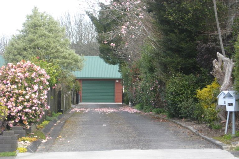 Photo of property in 17a Regan Street, Stratford, 4332