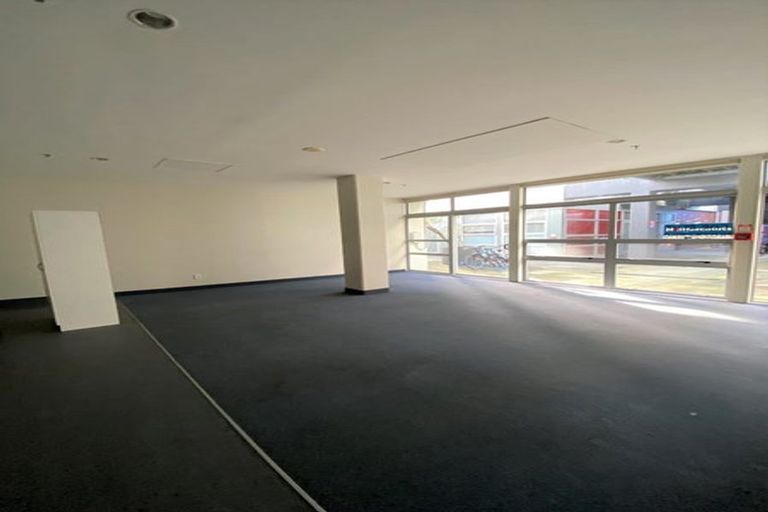 Photo of property in Hanson House, 27u2 Hanson Street, Mount Cook, Wellington, 6021