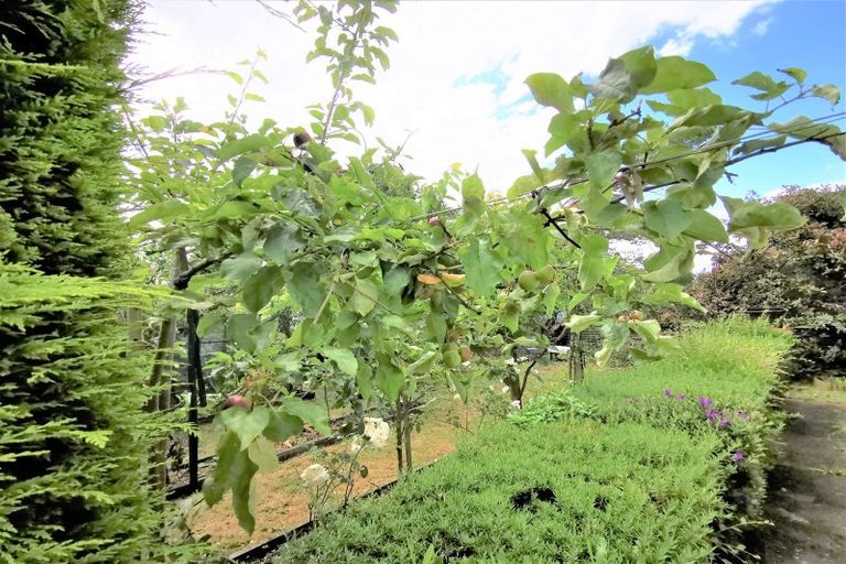 Photo of property in 236 High Street, Dannevirke, 4930