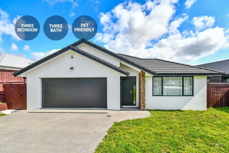 Photo of property in 130 Hitchen Road, Pokeno, 2402