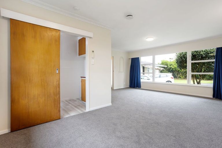 Photo of property in 163 Clarkin Road, Fairfield, Hamilton, 3214