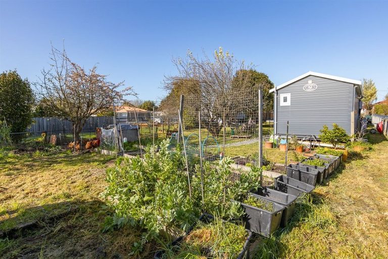 Photo of property in 95 Herbert Street, Masterton, 5810