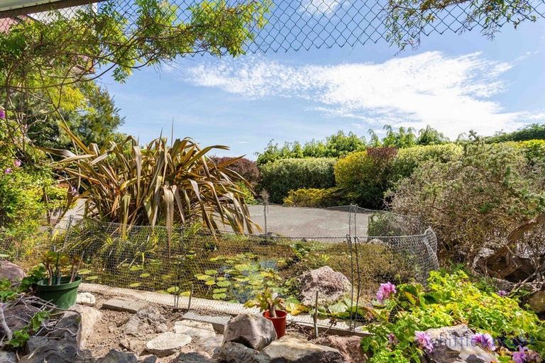 Photo of property in 185 Hackthorne Road, Cashmere, Christchurch, 8022