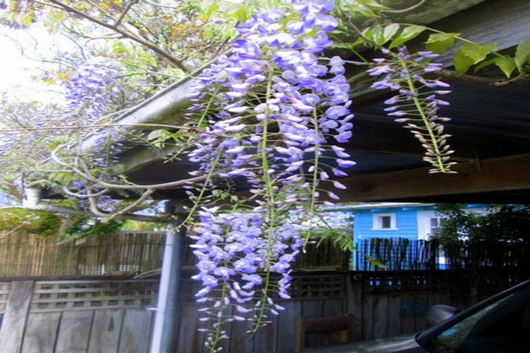 Photo of property in 43 Morero Terrace, Taumarunui, 3920