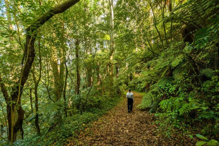 Photo of property in 125 Boscabel Drive, Ohauiti, Tauranga, 3112