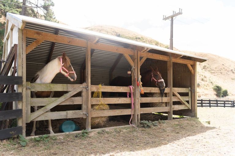 Photo of property in 329 Takarau Gorge Road, Ohariu, Wellington, 6037