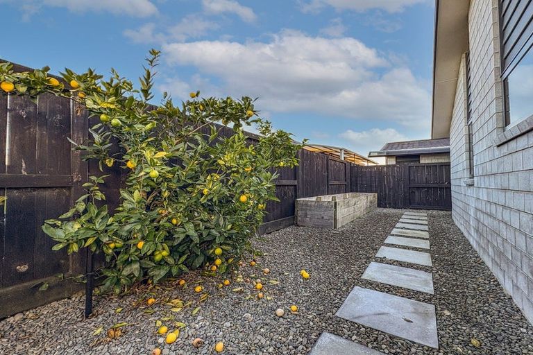 Photo of property in 40 Probert Crescent, Chartwell, Hamilton, 3210