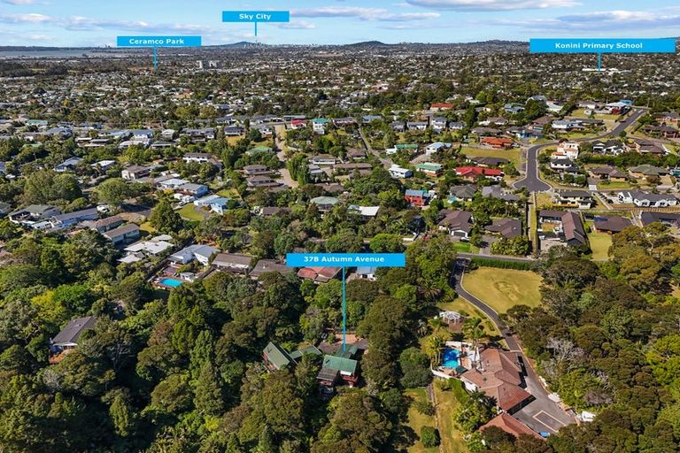 Photo of property in 37 Autumn Avenue, Glen Eden, Auckland, 0602