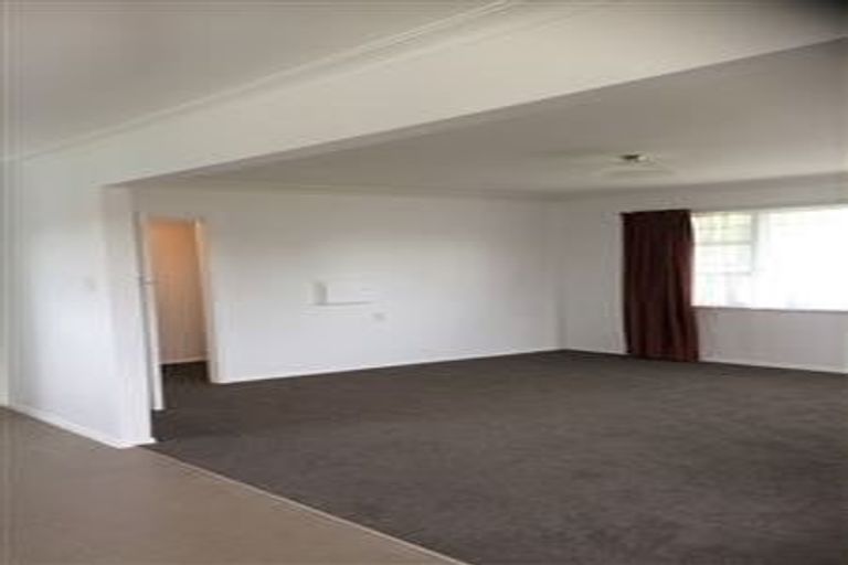 Photo of property in 46 Duke Street, Levin, 5510