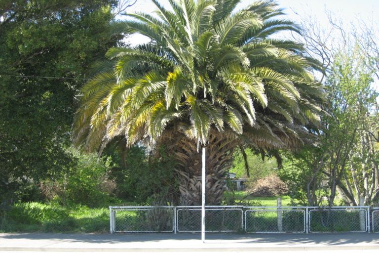 Photo of property in 156 Carroll Street, Wairoa, 4108