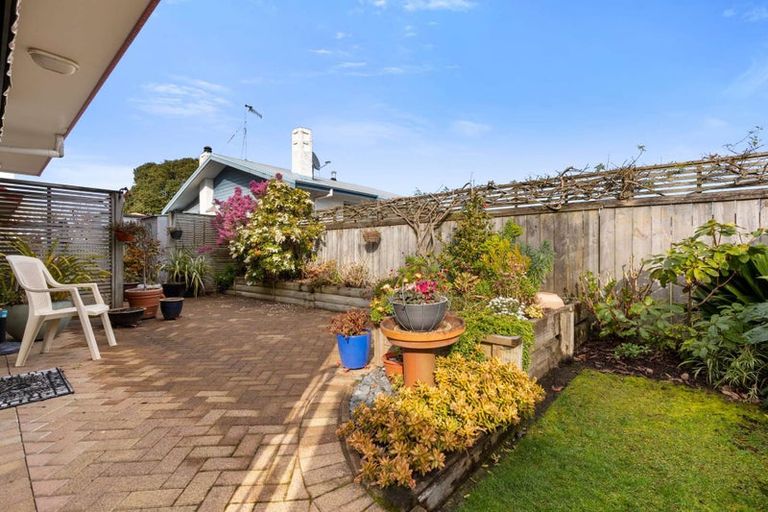Photo of property in 86a Mcalister Street, Whakatane, 3120