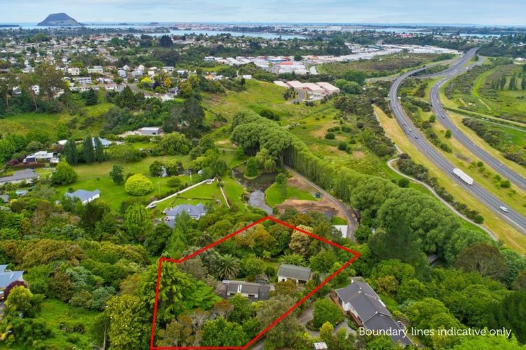 Photo of property in 24 Bellfield Place, Bethlehem, Tauranga, 3110