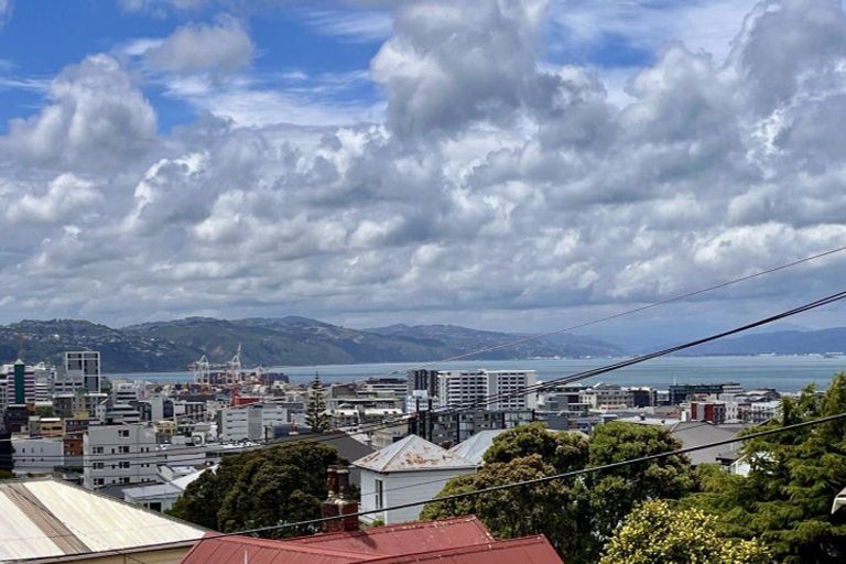 Photo of property in 80 Nairn Street, Mount Cook, Wellington, 6011