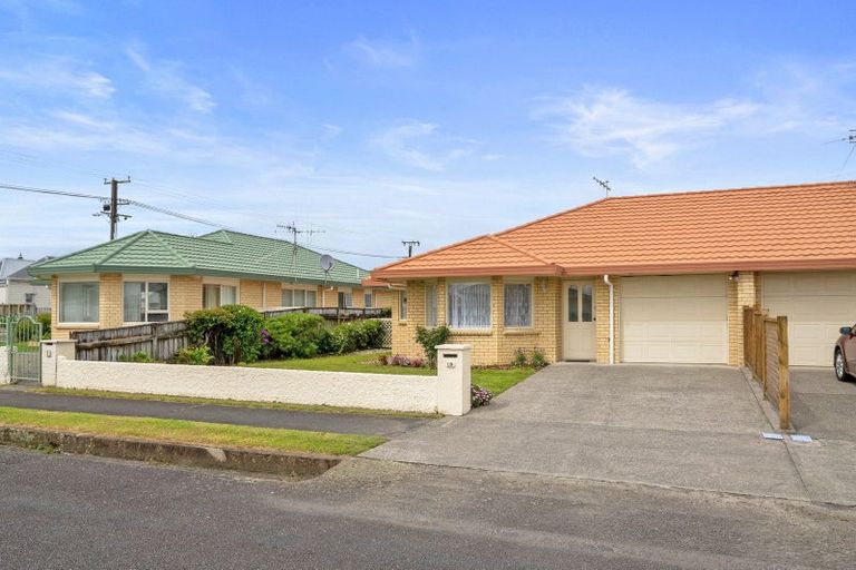 Photo of property in 1b Hannan Street, Levin, 5510