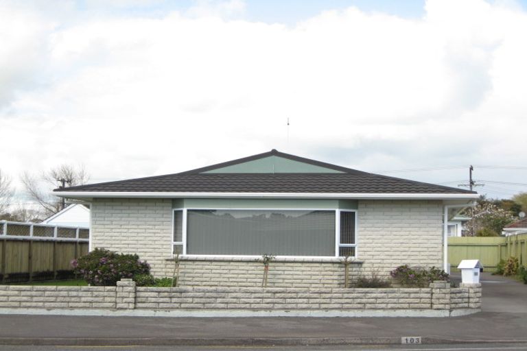 Photo of property in 103 Tukapa Street, Westown, New Plymouth, 4310