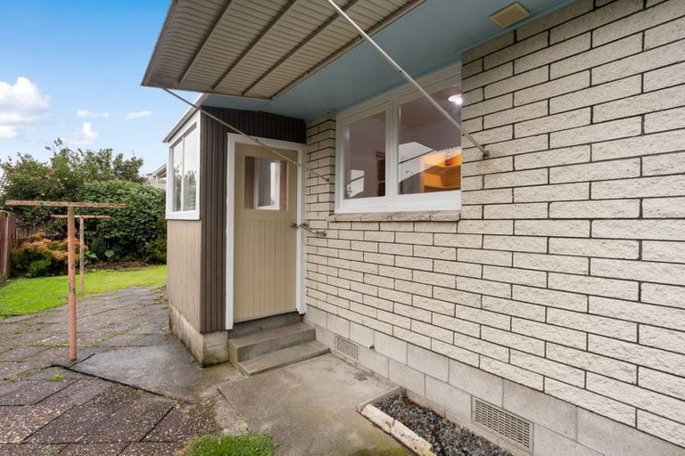 Photo of property in 163 Clarkin Road, Fairfield, Hamilton, 3214