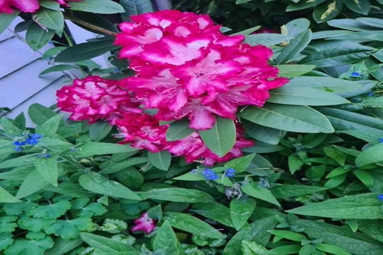 Photo of property in 8 Queen Street, Springfield, 7681