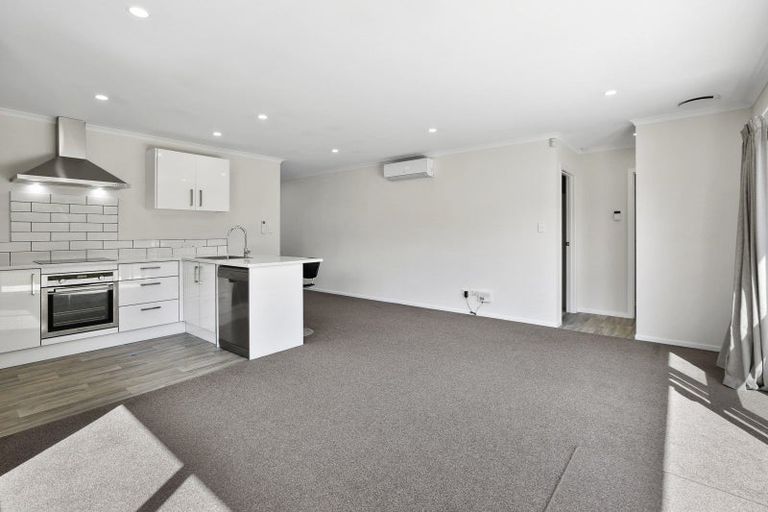 Photo of property in 17u2 Walter Street, Fairfield, Hamilton, 3214