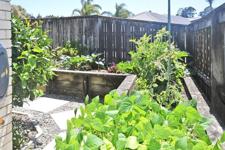 Photo of property in 14 Ashmore Crescent, Warkworth, 0910