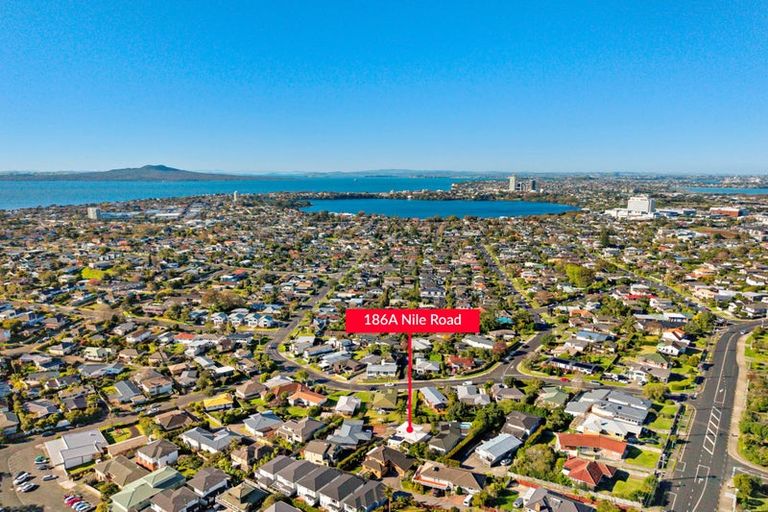 Photo of property in 186a Nile Road, Forrest Hill, Auckland, 0620
