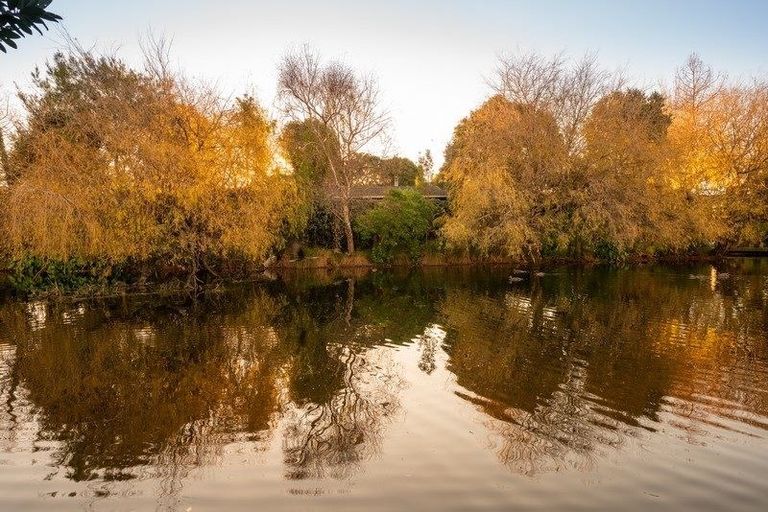 Photo of property in 19 Langdale Avenue, Paraparaumu, 5032