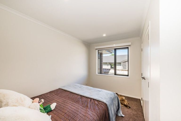 Photo of property in 1 Sudeng Street, Levin, 5510