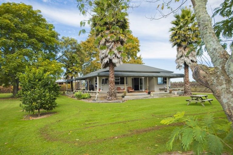 Photo of property in 144 Ngakoroa Road, Ormond, Gisborne, 4071