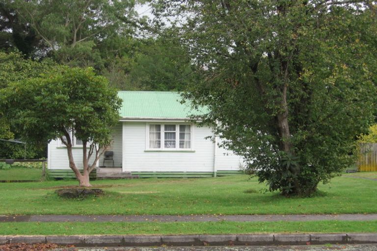 Photo of property in 20 Carrington Crescent, Tokoroa, 3420