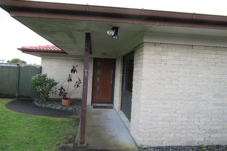 Photo of property in 1/24 Frank Evans Place, Henderson, Auckland, 0610