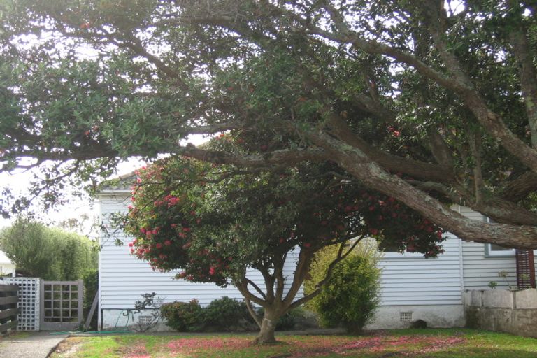 Photo of property in 10 Gadsby Street, Avalon, Lower Hutt, 5011