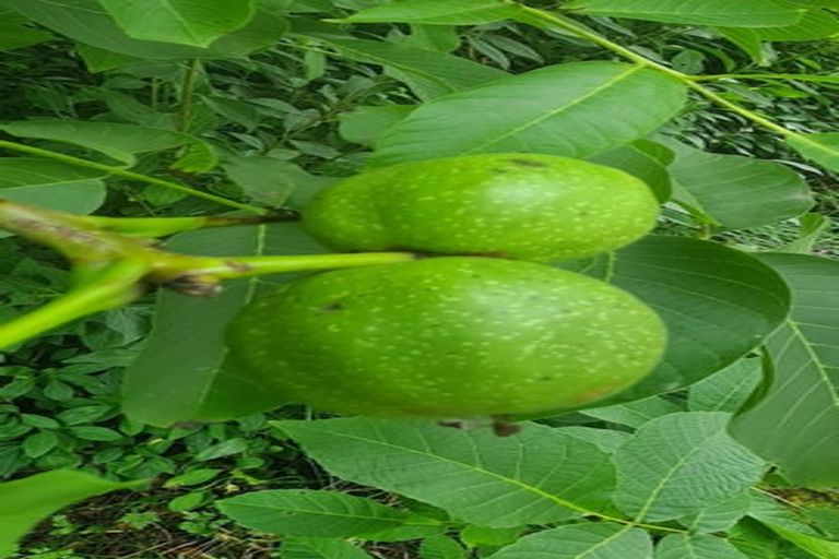 Photo of property in 8 Queen Street, Springfield, 7681