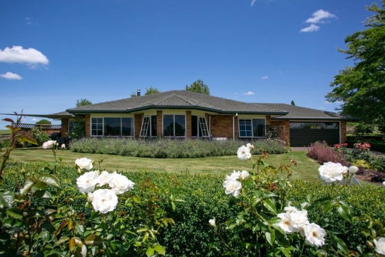 Photo of property in 128 Matai Road, Matamata, 3472