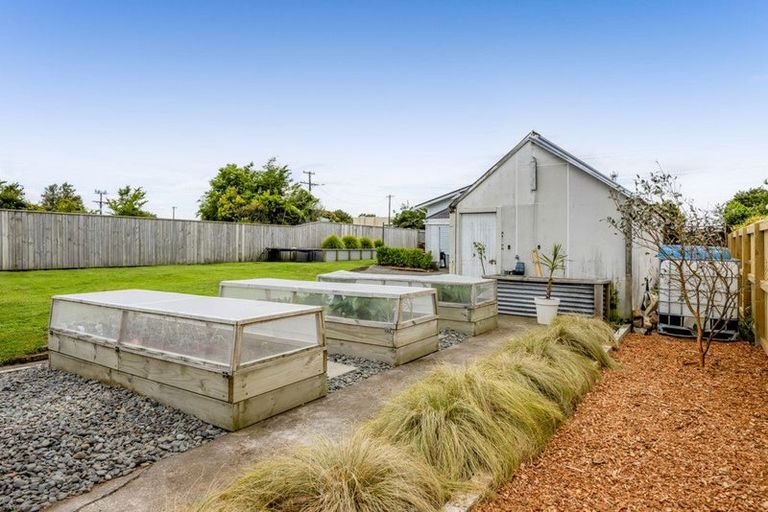 Photo of property in 141 Miranda Street, Stratford, 4332