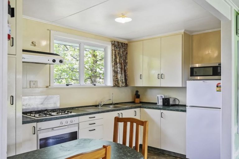 Photo of property in 46 Mount Cook Street, Twizel, 7901